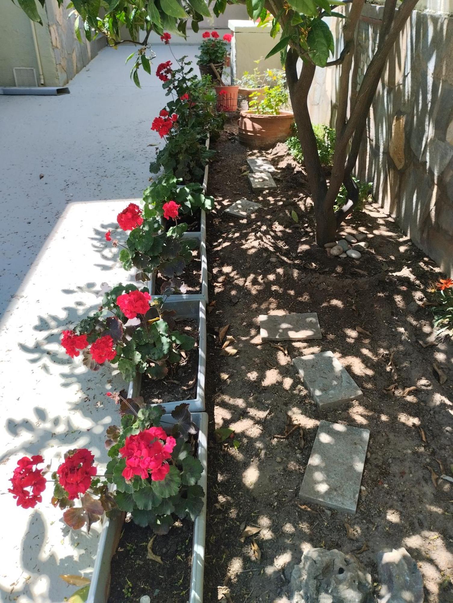 Strati'S Place PalaiónTsiflíkion Εξωτερικό φωτογραφία