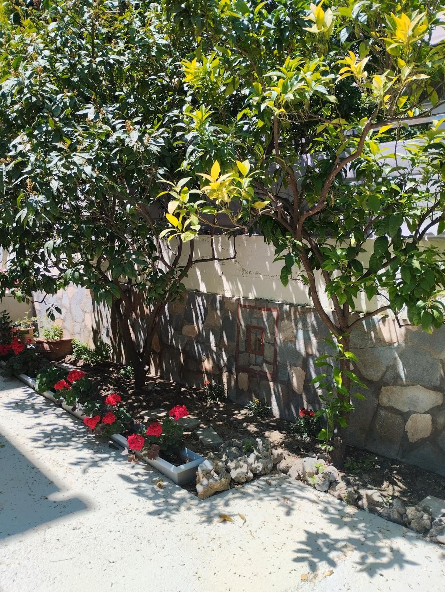Strati'S Place PalaiónTsiflíkion Εξωτερικό φωτογραφία